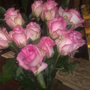 Meet your Posher, Carmen